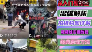 东方糖糖妹抖音短视频全套实战课思维+拍摄+剪辑+运营,从入门到精通网赚项目-副业赚钱-互联网创业-资源整合歪妹网赚